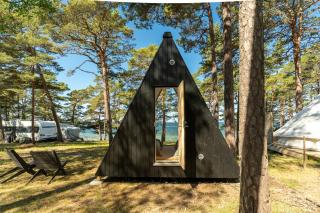 Forest View Cottage - - 1