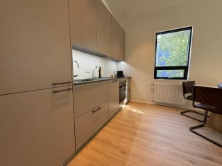 Downtown Modern Luxury Apt 101 - Reykjavík - 6