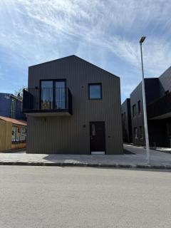 Downtown Modern Luxury Apt 101 - Reykjavík - 1