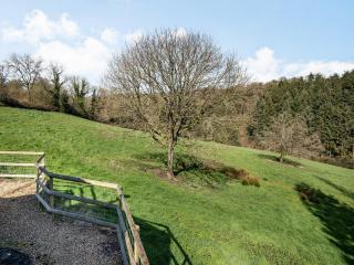 Maple Tree Cottage - Branscombe - 5