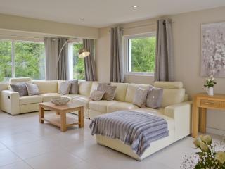 Honey Pippin - Cheriton Bishop - 9