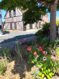 La tanière des ours - 9