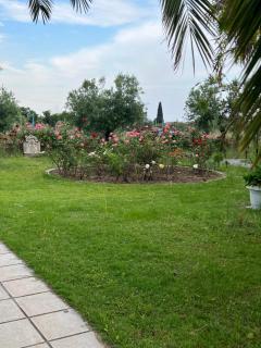 Traditional Bungalows - 8