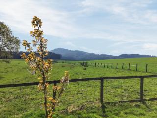 Heathfield - Denholm - 1