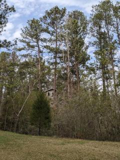 Owl Nest Treehouse - - 1