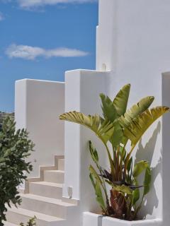 Le Palme Mykonos - Klouvas - 6