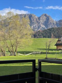 Domek VIATA - Zakopane - 7