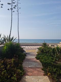 Vacaciones en Primera Linea de Playa - Roquetas de Mar - 1