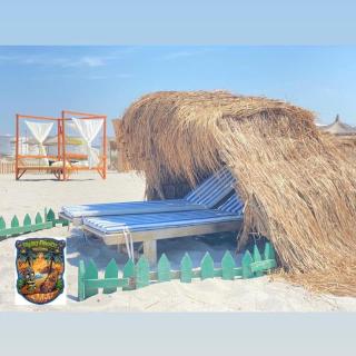 Freaky Friends Camping Beach Bar - Durrës - 4