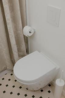 Elegant Studio in City Center - Riga - 5
