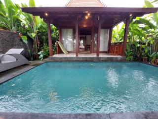 Jemma Villa - Ubud - 8