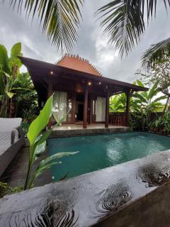 Jemma Villa - Ubud - 1