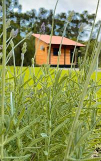Pousada Morro dos Pinhais - 2