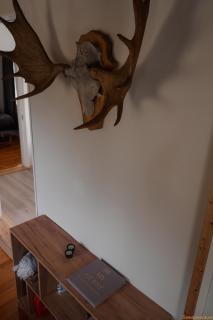 Nordic Catch Cabin - Överkalix - 3