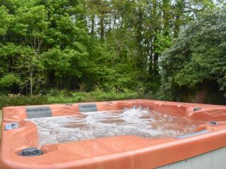 Cilwendeg Lodge - Newchapel - 8