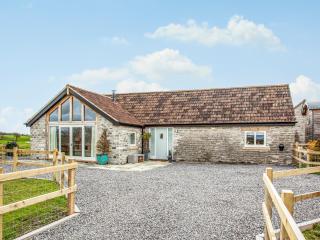 Old Farm - Barton Saint David - 0
