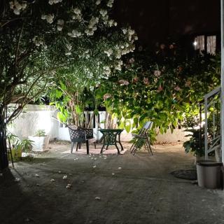 Nice summer apartment near sea - 8