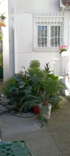 Nice summer apartment near sea - 1