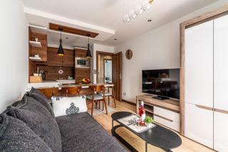 ApartSerwis Apartament Górska Chata - Zakopane - 0