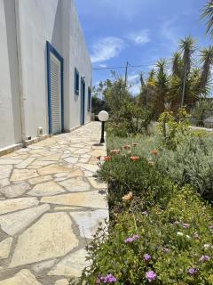 Stavros Seaside Apartments 04 - Stavros - 7
