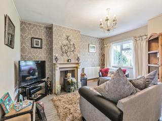 Flyby Cottage - Symonds Yat - 0
