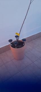 A Beautiful Townhouse - Rute - 7