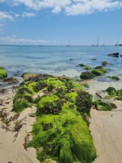 Ocean view triplex studio - Audierne - 9