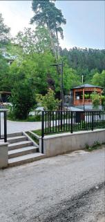 Borjomi Likani Apartment - 4