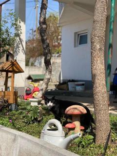 Guesthouse RED STAR - Mostar - 6