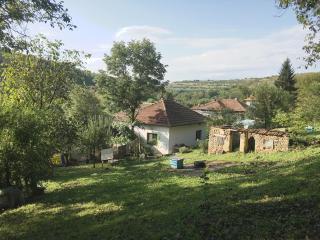 House near Danube River - - 3