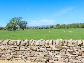 Pasture View - Barnard Castle - 2