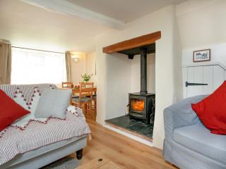 Otters Cottage - Ottery Saint Mary - 9