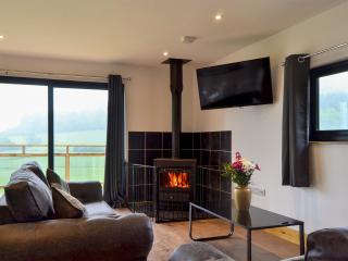 Offas Dyke Lodge - Uk10835 - Old Radnor - 8