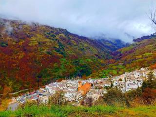Casa Estrella de la Alpujarra - - 6