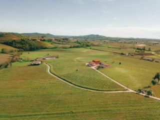 Agriturismo Borgo dei Sapori-Vini Bio Irene Cencig - Cividale del Friuli - 0