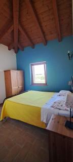 Agriturismo Borgo dei Sapori-Vini Bio Irene Cencig - Cividale del Friuli - 6