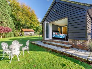 Forest View Barn - Balcombe - 0
