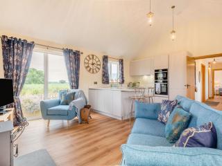 Violet Cottage - Credenhill - 0