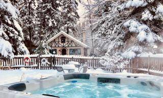 Chalets Village Suisse de Val-David - Val-David - 4