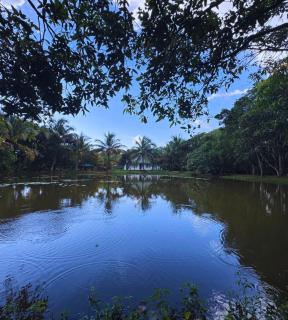The Shenu Lake House - Private 4-Bedroom Pool Villa - Dandugama - 9