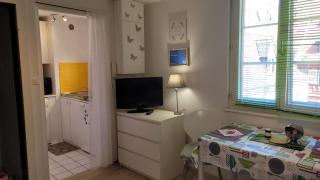 Petit Tripiers - Colmar - 8