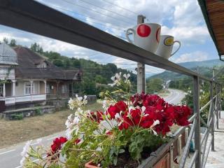 Casa Anastasia Slănic Moldova - Slănic-Moldova - 7