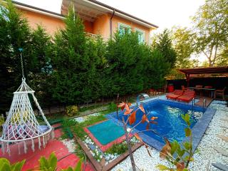 Villa with Hot Pool - Sapanca - 9