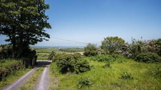 Erw Rhys - Llanrhwydrys - 5