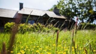 Erw Rhys - Llanrhwydrys - 4