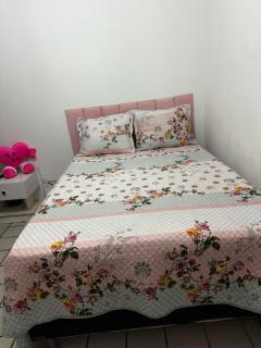 Janga Paulista-Pe - 2