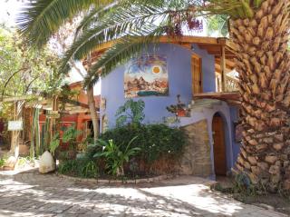 El jardín secreto Pisco Elqui - 8
