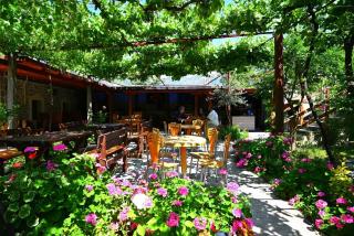 Kulla e Vjeter (Bar Restaurant, Guesthouse, Parking and Camping) - Koman - 1