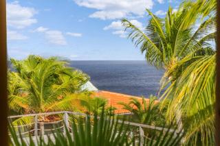 Villa Happy Turtle with a spectacular ocean view - Kralendijk - 9