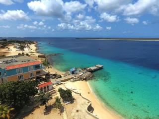 Oceanfront Deluxe Apartment Blue Marlin at Den Laman - Kralendijk - 6